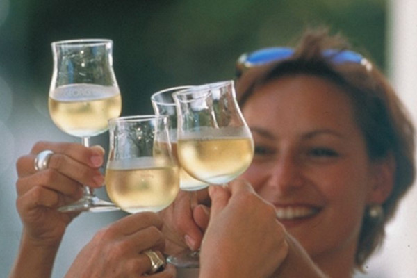 Die Rüdesheimer Weinprobe Winearound
