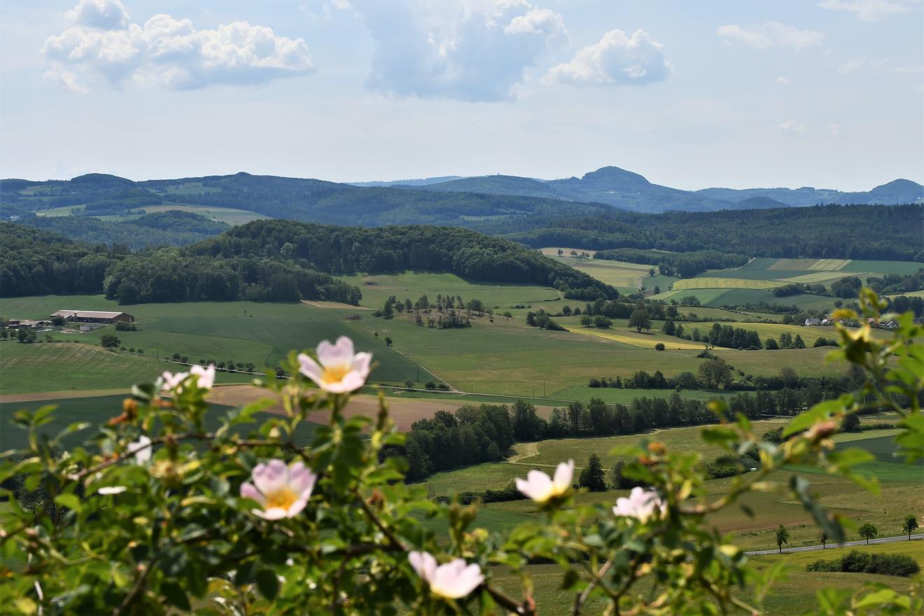 Freitagsführung Ulmenstein U. Krengelsberg 22.08.2025