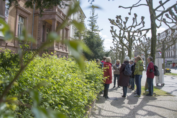 Schnuppertour Wiesbaden - Öffentliche Führung